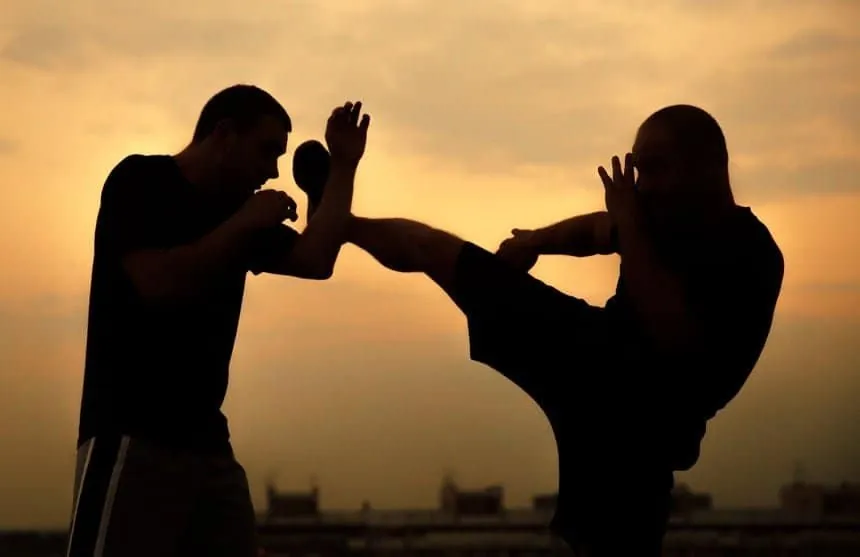Krav Maga training